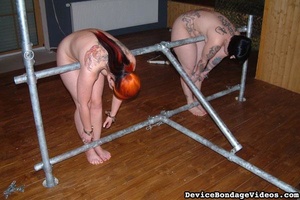 Tattooed darlings sweet asses