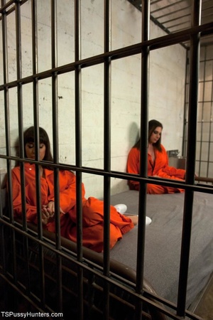 Sex jail cell shared