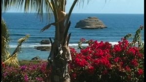 Hungarian amateur fuck